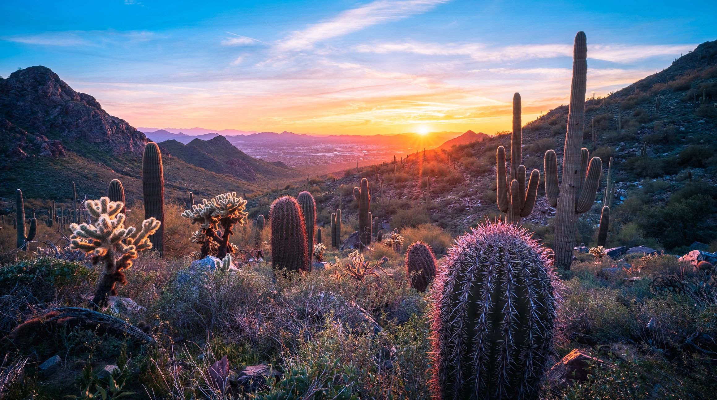 Fountain Hills