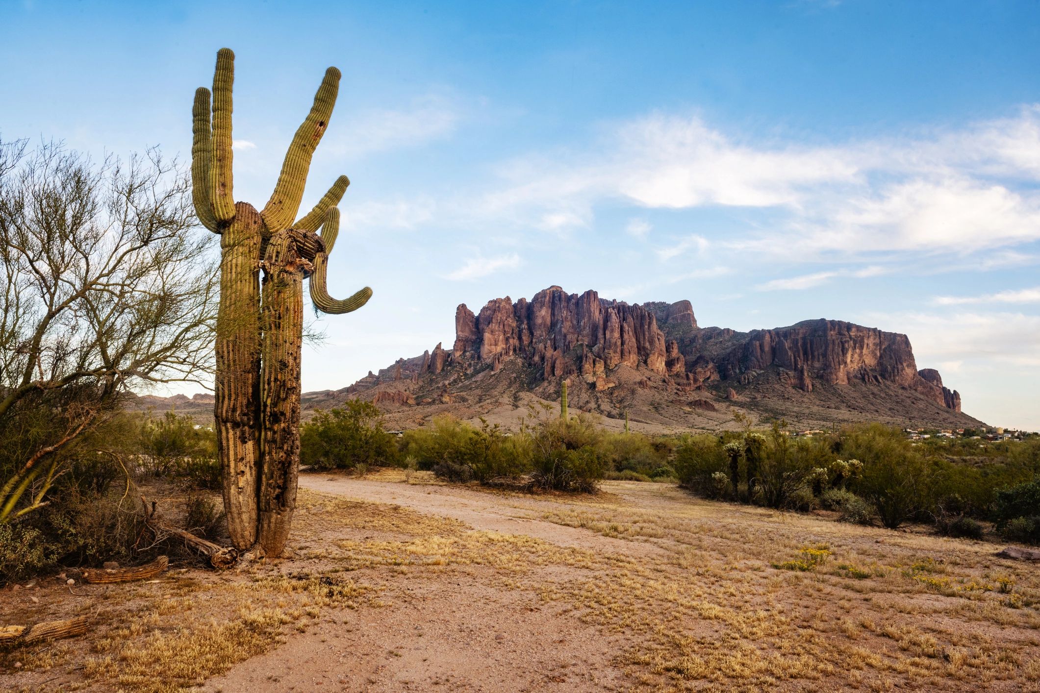 Apache Trail Expedition — Scottsdale Slingshot adventure
